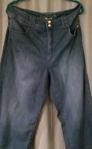 Melissa McCarthy 7Jeans